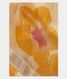 Light Yellow  Kora Organza Printed Saree  T2326411