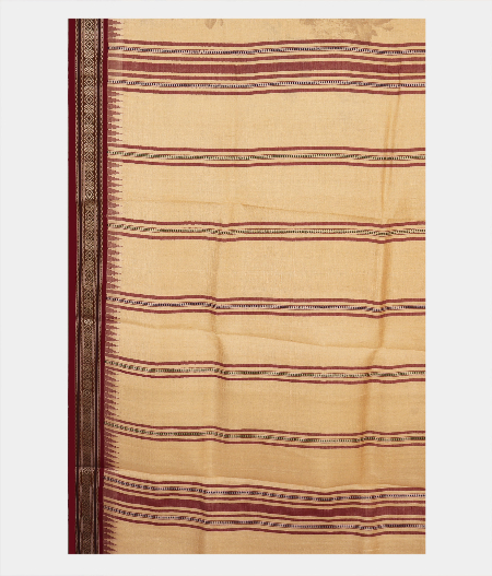 Beige Vidarbha Tussar Saree T2051884