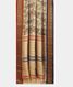 Beige Vidarbha Tussar Saree T2160502