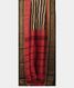 Black and Beige Vidarbha Tussar Saree T2341592