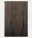 grey-linen-printed-saree-t233261-t233261-c