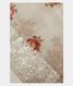 Off-White Kora Organza Embroidery Saree T182014 1