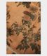 Light Peach Tussar Printed Saree T2285991