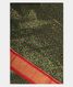 Bottle Green Ikat Silk Saree T2343981