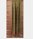 Green Soft Printed Cotton Saree T2332012