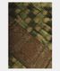 Green Soft Printed Cotton Saree T2330491
