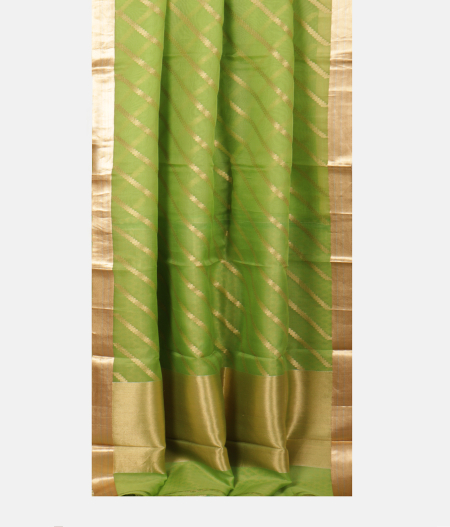 Green Banaras Organza Saree T2280224