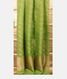 Green Banaras Organza Saree T2280224