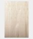 White Tussar Georgette Silk Saree T229476 5