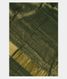 green-crepe-silk-saree-t234906-t234906-a