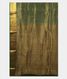 green-crepe-silk-saree-t234906-t234906-d