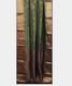 bottle-green-crepe-silk-saree-t234902-t234902-b