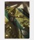 Dark Green Handwoven Kanjivaram Silk Saree T2330715