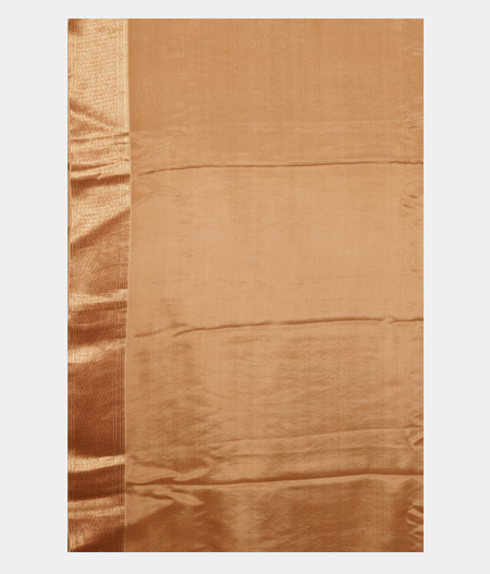 beige-crepe-silk-saree-t215816-t215816-c