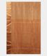beige-crepe-silk-saree-t215816-t215816-d