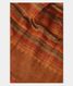 Multicolour Tussar Printed Saree  T2276931
