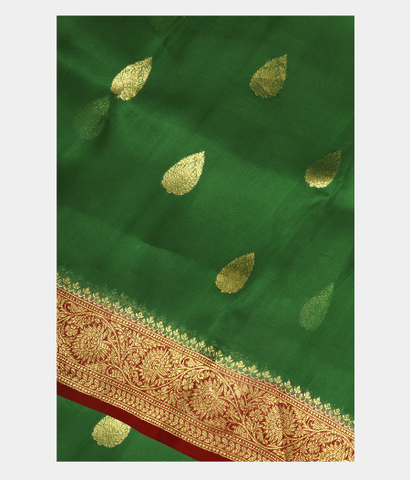 Green Banaras Organza Saree T161377-image