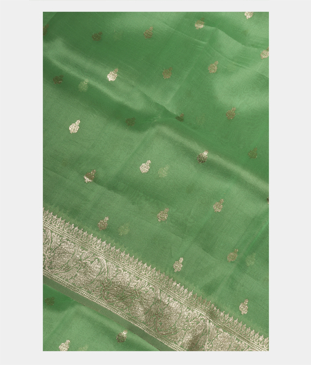 Light Green Banaras Organza Saree T173776-image