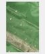 Light Green Banaras Organza Saree T1737761