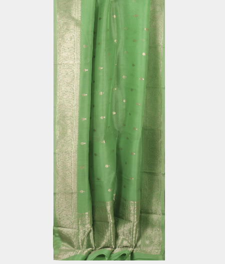 Light Green Banaras Organza Saree T1737762