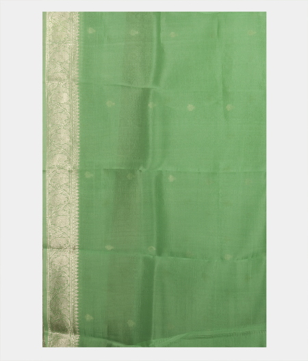 Light Green Banaras Organza Saree T1737763