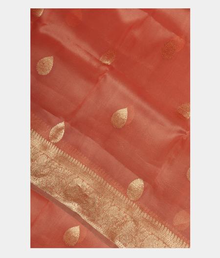 Peach Banaras Organza Saree T173782-image