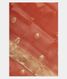 Peach Banaras Organza Saree T1737821