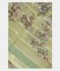 Yellowish Green Organza Printed SareeT2369161