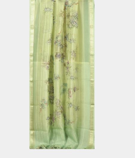 Yellowish Green Organza Printed SareeT2369162