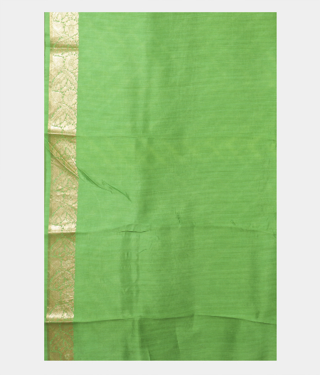 Light Green Kora Organza Printed Saree T1894083