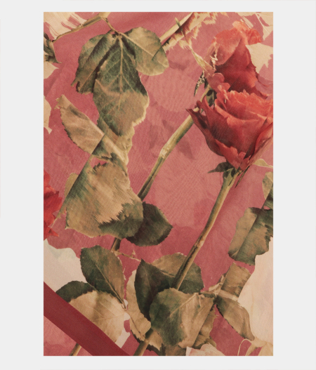 Mauve Pink Georgette Printed Silk Saree T226187-image