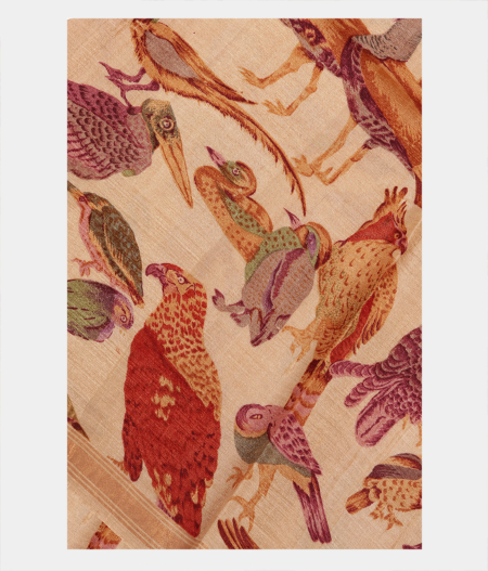 Beige Tussar Printed Saree T237184-image