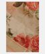 Off-White Kora Organza Printed Saree  T2218121