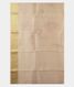 Peach Kora Organza Printed Saree T2418763