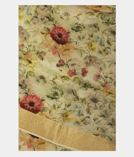 Light Green Kora Organza Printed Saree T241900-image