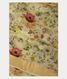 Light Green Kora Organza Printed Saree  T2419001