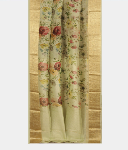 Light Green Kora Organza Printed Saree  T2419002