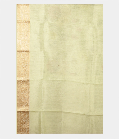 Light Green Kora Organza Printed Saree  T2419003