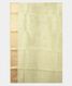 Light Green Kora Organza Printed Saree  T2419003