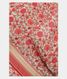 Off White Soft Printed Cotton Saree T2397531