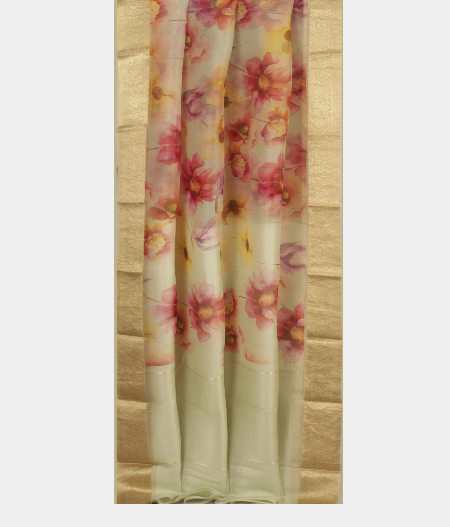 Light Green Kora Organza Printed Saree T2418662