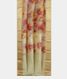 Light Green Kora Organza Printed Saree T2418662