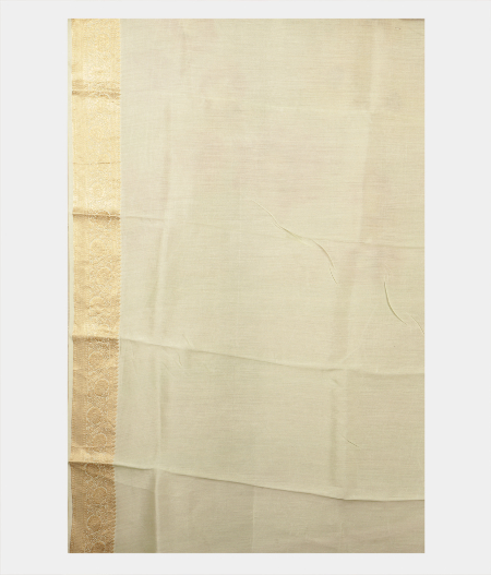 Light Green Kora Organza Printed Saree T2418663