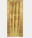 Light Yellow Organza Printed Saree T2418732