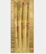 Yellow  Kora Organza Printed Saree T2418842