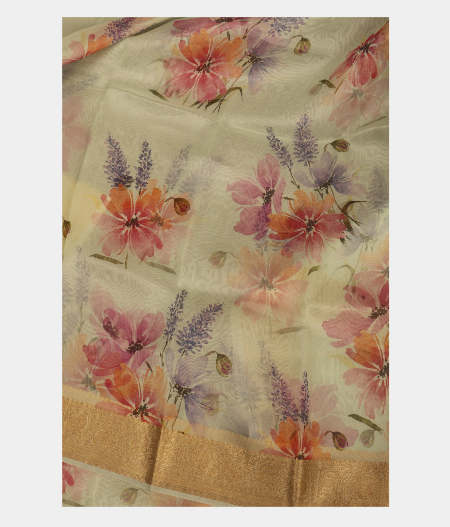 Light Green Kora Organza Printed Saree T241888-image