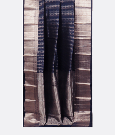 Blue Handwoven Kanjivaram Silk Saree T2422832