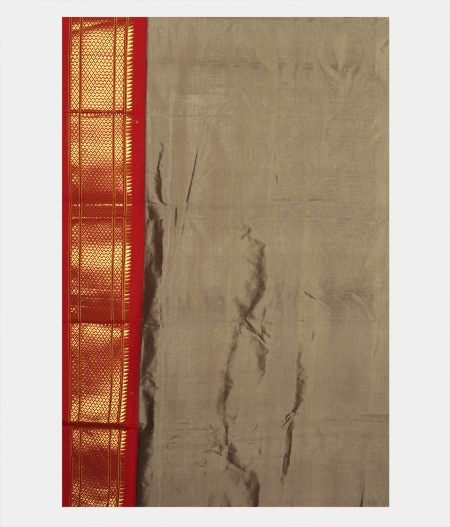 Grey Paithani Silk Saree T2421083