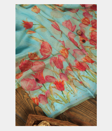 Sky Blue Kora Organza Printed Saree T244317-image