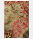 Green Kora Organza Printed Saree T2443121